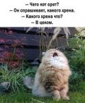 images.jpg