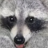 skiste4u